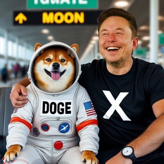 Telegram: View @meme_coin_am