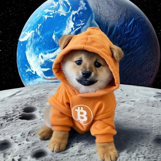 Telegram: View @meme_coin_am